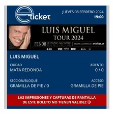 2 Entradas Concierto De Luis Miguel