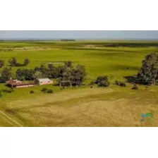 Excelente Estancia Completa Agrícola-ganadera, Sobre R.9 Y Costa Laguna Castillos