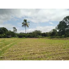 Vendo Amplio Terreno En Jarabacoa, Con Río 