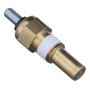 1- Sensor Temperatura Cts Monaco V6 3.0l 90/92 Injetech