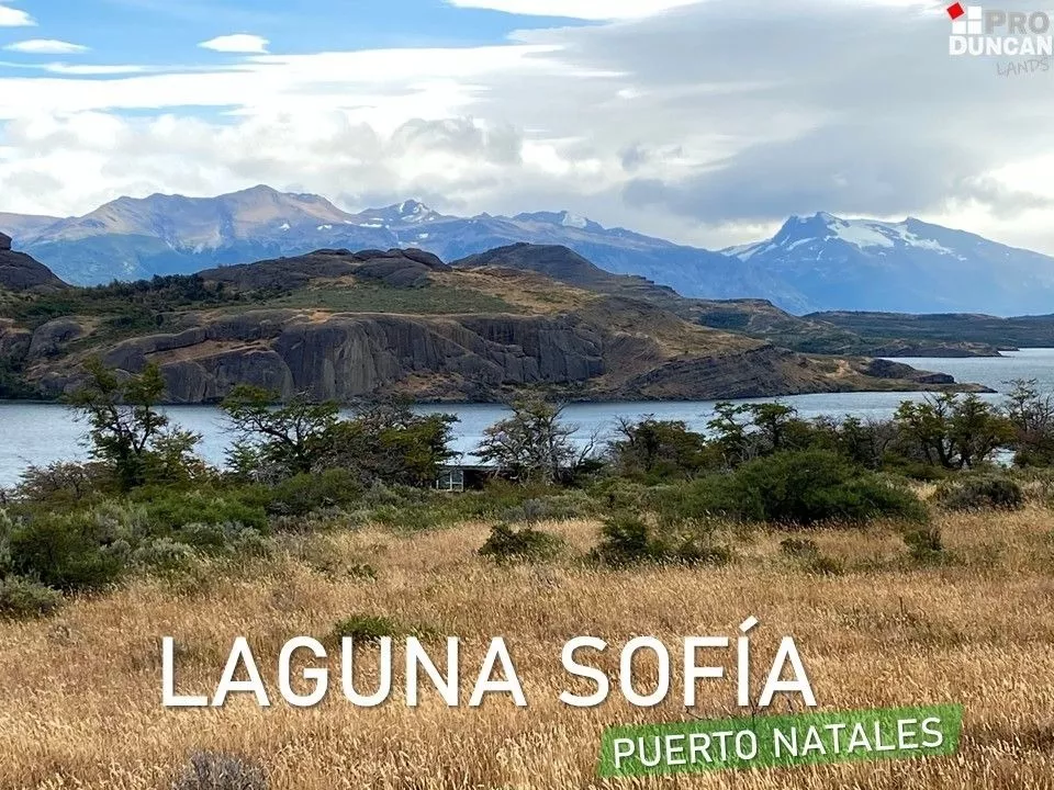 Proyecto De Parcelas Laguna Sofia - Puerto Natales