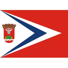 Bandeira Cidade Amparo Sp 1x1,45m