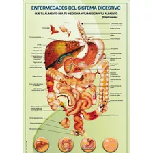 Posters Enfermedades Del Sistema Digestivo