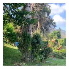 Jazigo Parque Da Colina Niteroi