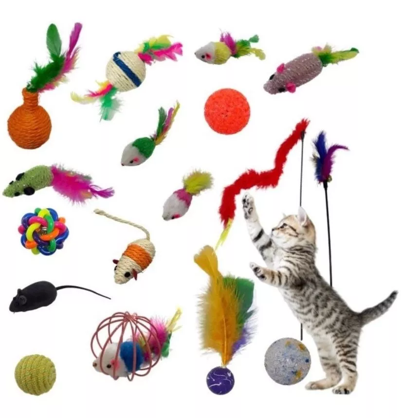 Kit 8 Brinquedos Interativos Para Gato Com Varinha Diversão 