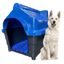 Casa Casinha Cachorro Cães Plastica Numero 7 Cor Azul