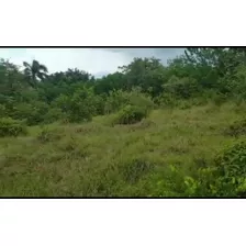 Vendo Está Finca En Samana Aun Kilómetro De La Playa 