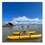 Terceira imagem para pesquisa de bike boats aquaticos