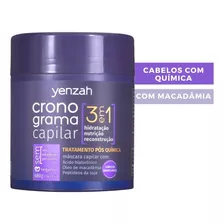 Yenzah Máscara Cronograma Capilar Cabelos Com Química 480g