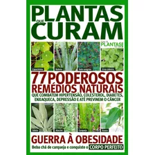 Guia De Plantas Em Casa - Extra, De On Line A. Editora Ibc - Instituto Brasileiro De Cultura Ltda, Capa Mole Em Português, 2018