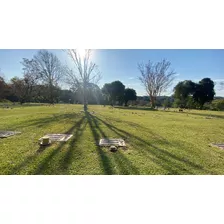 Jazigo Cemitério Parque Iguaçu - Localização Nobre