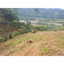 Vendo Dos Lotes De Terreno De 4000 Mts2 Con Todos Los Servicios Basicos Y En Produccion De Frutales