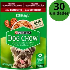 Kit 30 Sachês Purina Dog Chow 100g Ração Úmida P/cachorros