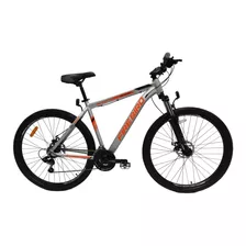 Bicicleta Mountain Bike Fire Bird Modelo Col Raiser Rodado29