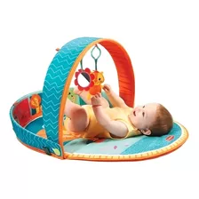 Gimnasio Para Bebe Cozy 3 En 1 Tiny Love