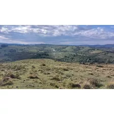 Campo De 80 Has En Paraje Carape Con Costa De Arroyo.