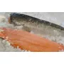 Segunda imagen para búsqueda de filet salmon rosado fresco precio por kilo 156