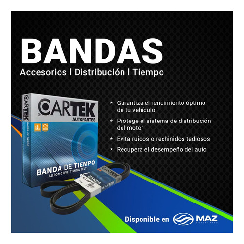 Banda De Accesorios Lexus Es250 V6 2.5 1990-1991 2.095cm Ctk Foto 4