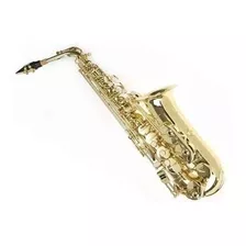 Sky E Flat Lacquer Saxofon Alto Con F Key Case Y 10 Reeds G