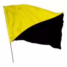 Bandeira Anarcocapitalista 2,2m X 1,50m Cor