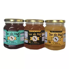 Miel De Abeja 100 % Natural Pak 3 Variedades