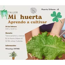 Taller Mi Huerta. Aprendo A Cultivar En Pequeños Espacios