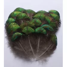 Peninhas De Pavão Naturais Fantasia/artesanato - 40 Unidades