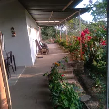 Finca En Vereda Anatoli, Entrada Vía La Mesa Puerto Lleras A Una Hora Y Media De Bogotá