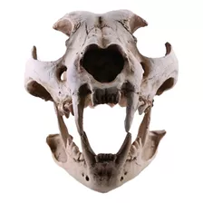 Perro Realista Cráneo Canino Modelo Esqueleto De Perro