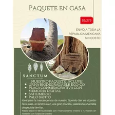 Kit En Casa: Urna Ecoco Y Placa Conmemorativa Memoria Digita