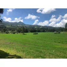 Gran Oportunidad Terreno Arenal Para Rancho