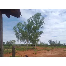 Vendo Fazenda Com 241 Hectares No Centro-norte De Minas Gerais