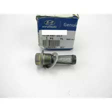 Filtro Óleo Cabeçote Ocv Original Hyundai Tucson 05-17 2.0