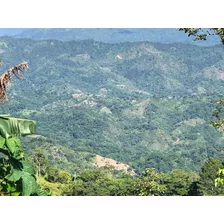 Vendo Casa De Veraneo En La Montaña De San C. La Colónia