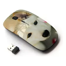 Mouse Inalambrico Koolmouse Optico (perro De Canaan) Usb 2.0