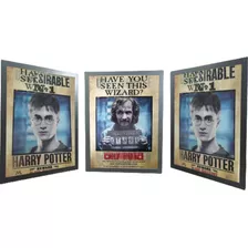 Poster 3d - Harry Potter Undiserable