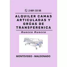  Alquiler Camas Articuladas Gruas Bipedestador