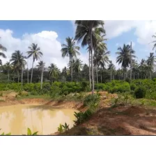 Finca En Venta En Samaná En El Limón 