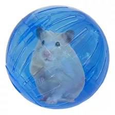 Bola Para Hamster Em Acrílico Com Suporte - Savana Pet