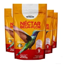 Néctar Para Beija-flor 1kg Alimento Atrativo Nutricon