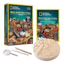 Kits De Excavación De Mega Fósiles Y Piedras Preciosas De Na