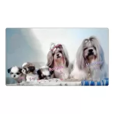 Shih Tzu Hermosas Cachorras Mini 350 Pureza Garantizada 