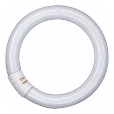 Tubo Circular Fluorescente 22w Luz Dia 6400k Yarlux