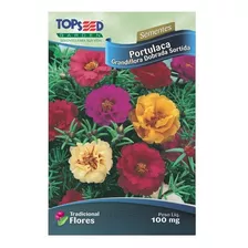 1199 Sementes Flor Onze Horas Pronta Entrega Frete Gratis