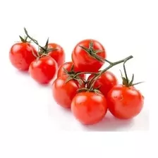 Tomate Cereja Anão Sementes P/ Mudas