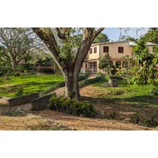 Finca En Venta En San Francisco De Macorís