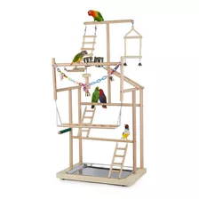 Ibnotuiy Parrot Pet Parrot Parrots Bird Parrots Bird Play St