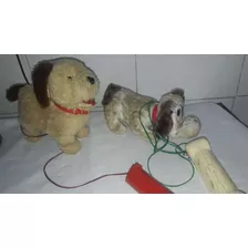 Cachorros Da Estrela (para Reparo)