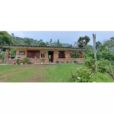 Vendo Casa Finca Vía A Fredonia Cuenta Con Marraneras