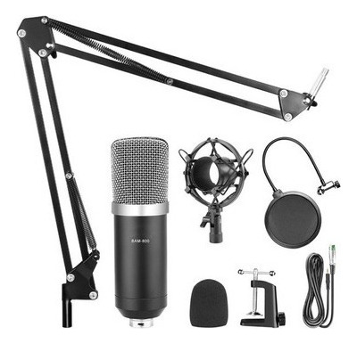 Kit Microfono Condenser Hügel Soporte Pop Filter Cable Cuota Color Negro